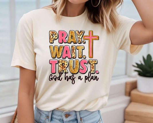 Pray. Wait. Trust. - God Has a Plan DTF Transfer - Sam's DTF Transfers