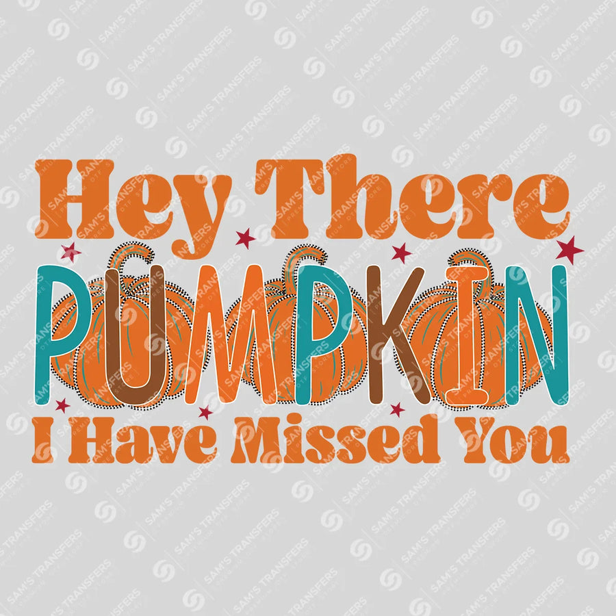 Hey There Pumpkin I Have Missed You Ready-to-Press DTF Transfer | SAT00729
