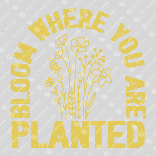 Apparel featuring a Bloom Where You Are Planted-themed DTF transfer.
