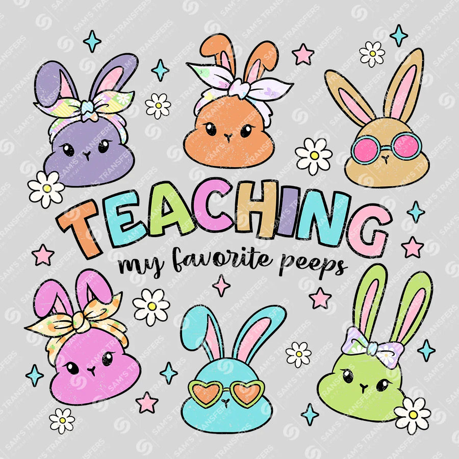 Teaching My Favorite Peeps Ready-to-Press DTF Transfer | SAT04892