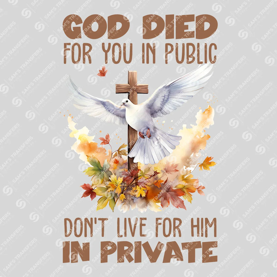 God Died for You in Public Ready-to-Press DTF Transfer | SAT05293