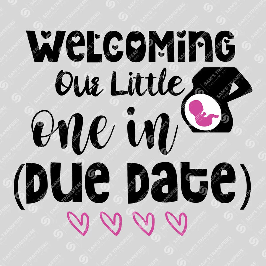 Welcoming Our Little One Ready-to-Press DTF Transfer | SAT07588
