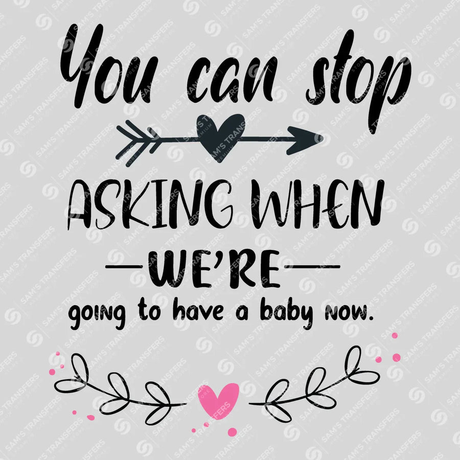 You Can Stop Asking When We're Having a Baby Ready-to-Press DTF Transfer | SAT07594