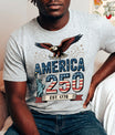 USA 250 Years Anniversary DTF Transfer | 4th of July Design | FR2157
