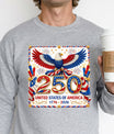 USA 250 Years Anniversary DTF Transfer | 4th of July Design | FR2161