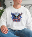 USA 250 Years Anniversary DTF Transfer | 4th of July Design | FR2204