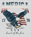 America 1776 – Eagle & Flag Patriotic
