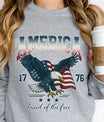 America 1776 – Eagle & Flag Patriotic