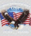 USA 250 Years Anniversary DTF Transfer | 4th of July Design | FR2166