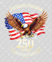 USA 250 Years Anniversary DTF Transfer | 4th of July Design | FR2167
