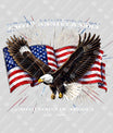 USA 250 Years Anniversary DTF Transfer | 4th of July Design | FR2168