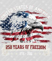 USA 250 Years Anniversary DTF Transfer | 4th of July Design | FR2174
