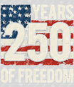 USA 250 Years Anniversary DTF Transfer | 4th of July Design | FR2187