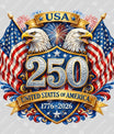 USA 250 Years Anniversary DTF Transfer | 4th of July Design | FR2198
