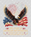 USA 250 Years Anniversary DTF Transfer | 4th of July Design | FR2199