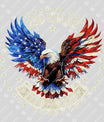USA 250 Years Anniversary DTF Transfer | 4th of July Design | FR2201