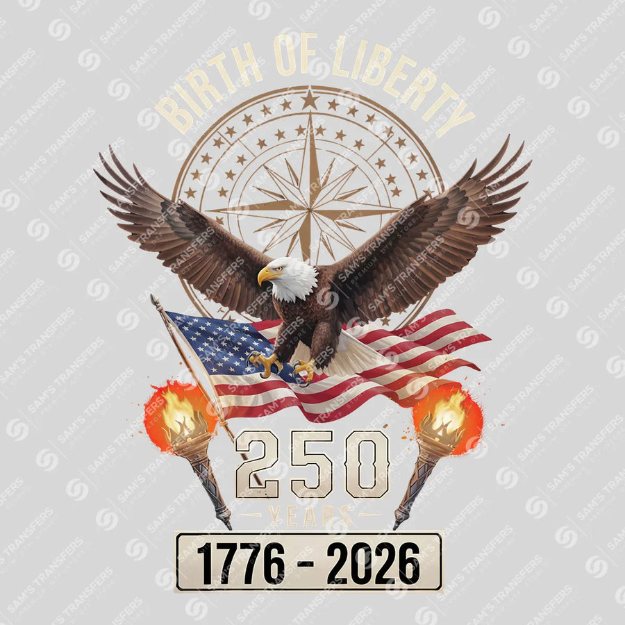 USA 250 Years Anniversary DTF Transfer | 4th of July Design | FR2203