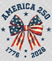 USA 250 Years Anniversary DTF Transfer | 4th of July Design | FR2205