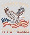 USA 250 Years Anniversary DTF Transfer | 4th of July Design | FR2218