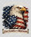 USA 250 Years Anniversary DTF Transfer | 4th of July Design | FR2223