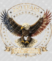 USA 250 Years Anniversary DTF Transfer | 4th of July Design | FR2228