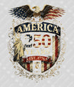 USA 250 Years Anniversary DTF Transfer | 4th of July Design | FR2230