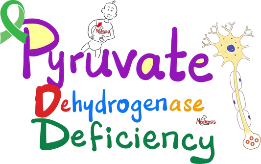 Colorful “Pyruvate Dehydrogenase Deficiency” DTF transfer with awareness ribbon, neuron illustration, and bold multicolor lettering.