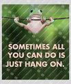 Hang On Frog