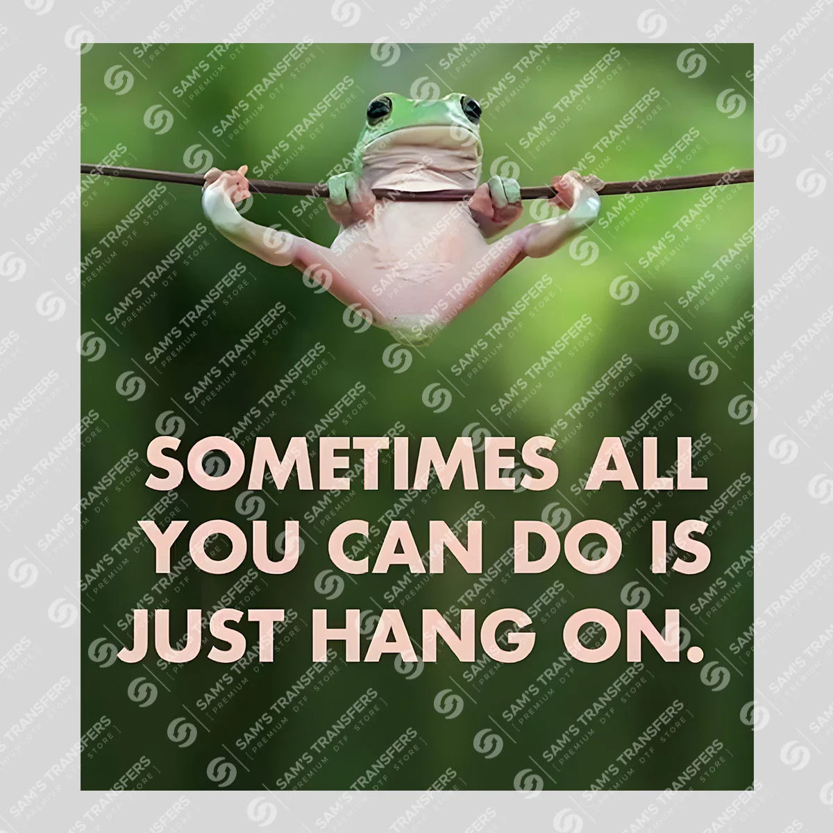 Hang On Frog