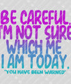 Be Careful – Funny Mood Quote DTF Transfer
