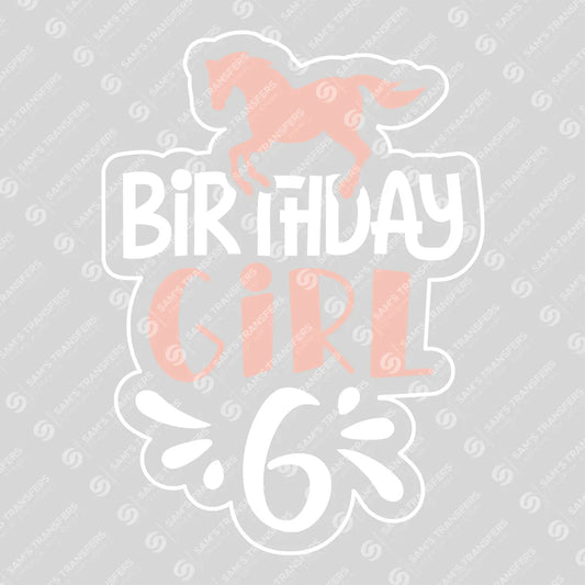 Apparel featuring a Horse Birthday Girl 6-themed DTF transfer.