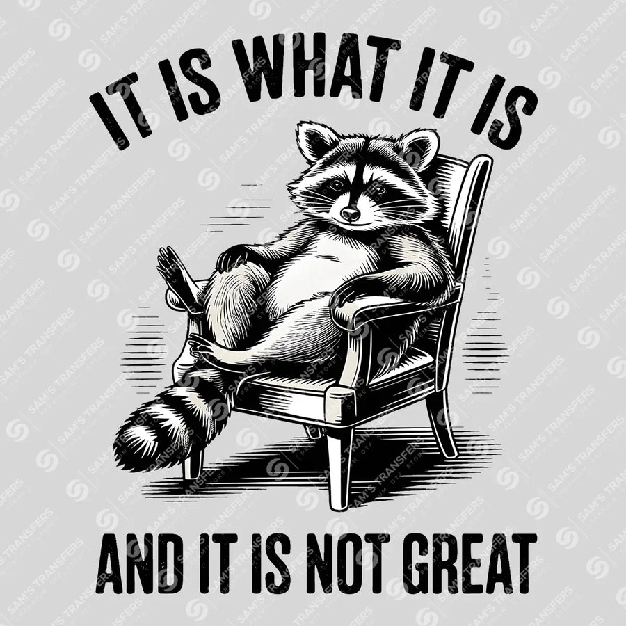 It Is What It Is and It Is Not Great Ready-to-Press DTF Transfer | SAT08687