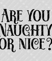 Are You Naughty or Nice? – Funny Christmas DTF Transfer