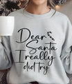 Gray Christmas sweatshirt with “Dear Santa I Really Did Try” DTF design in playful script with a candy cane accent.
