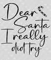 Dear Santa I Really Did Try – Funny Christmas DTF Transfer